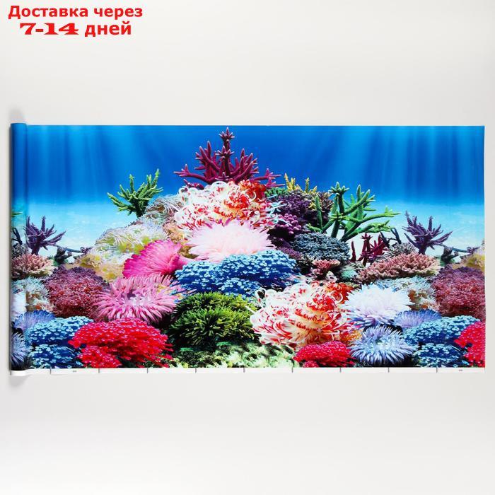 Фон для аквариума, 50 см, рулон 25 м - фото 1 - id-p207339670