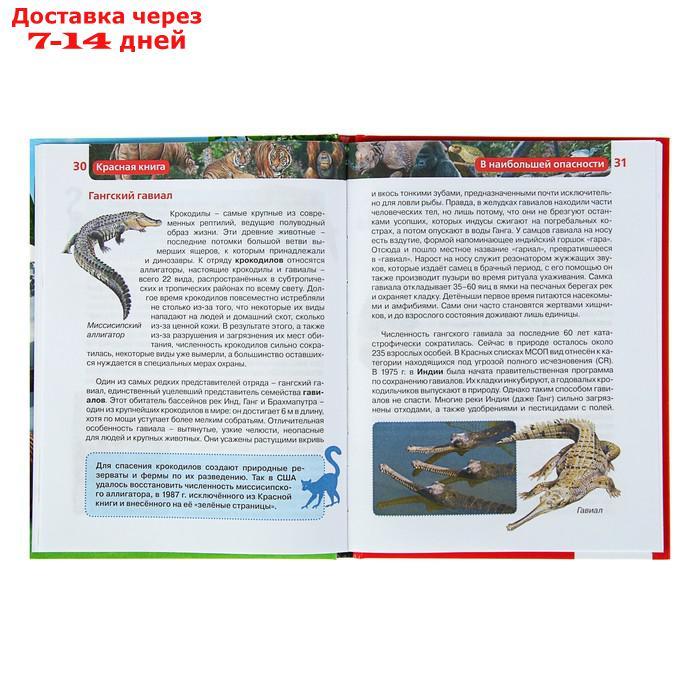 Детская энциклопедия "Красная книга" - фото 3 - id-p207335971