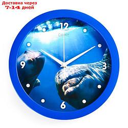 Часы настенные, серия: Животный мир, "Дельфин", плавный ход, d=28 см