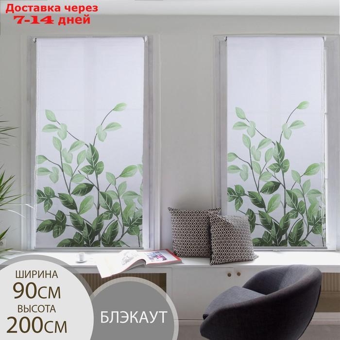 Штора рулонная "Ветви", блэкаут, 90×200 см - фото 1 - id-p207339988