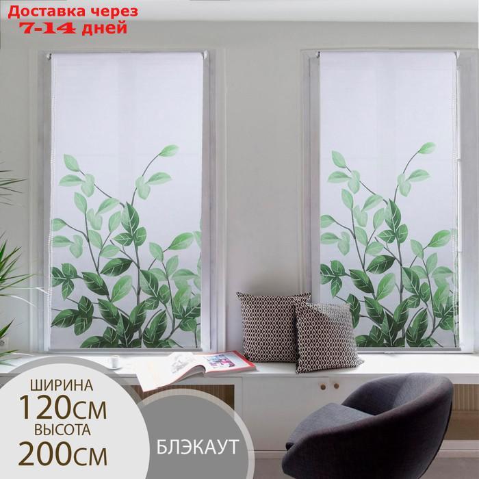 Штора рулонная "Ветви", блэкаут, 120×200 см - фото 1 - id-p207339997