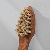 Щетка для нанесения крема 32 пучка, натуральный волос, цвет бежевый, фото 4