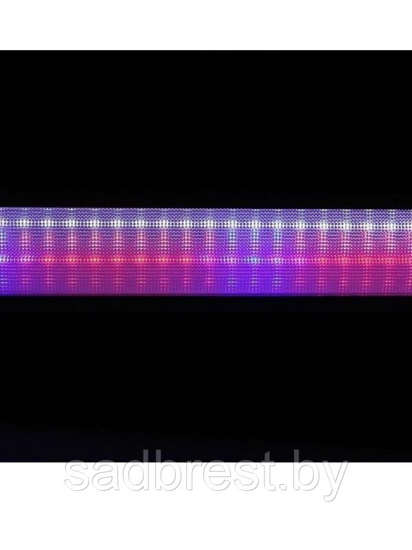 Фитолампа набор светильник со штативом LED-15 500 мм - фото 3 - id-p207429233