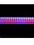 Фитолампа набор светильник со штативом LED-15 500 мм, фото 3