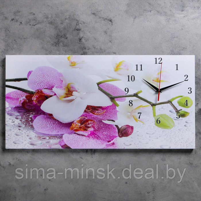 Часы настенные, на холсте, серия: Цветы, "Орхидеи", 40 х 76 см, d-27 см - фото 1 - id-p207450528