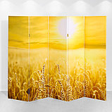 Ширма "Пшеничное поле", 250 х 160 см, фото 2