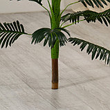 Дерево искусственное "Пальма Хамедорея" 100 см, фото 3
