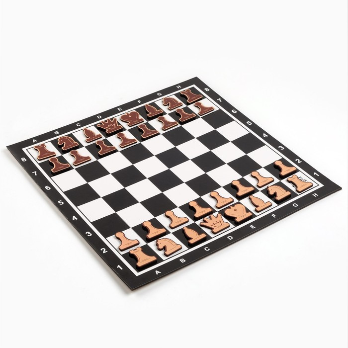 Демонстрационные шахматы "Время игры" на магнитной доске, 32 шт, поле 40 х 40 см, чёрные - фото 3 - id-p207459990