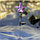 Светильник светодиодный Lamper Звезда с солнечной панелью и аккумулятором, переливчатое свечение мультиколор, фото 3