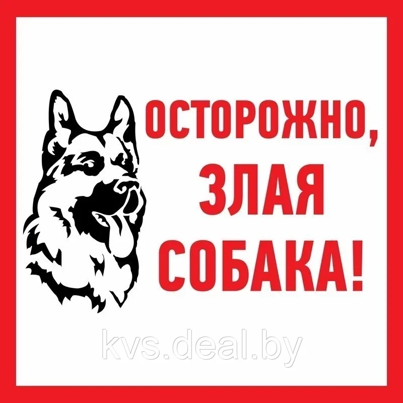 Табличка ПВХ информационный знак «Злая собака» 200х200 мм REXANT - фото 1 - id-p207446189