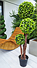 Дерево искусственное декоративное бонсай 120 см, фото 4