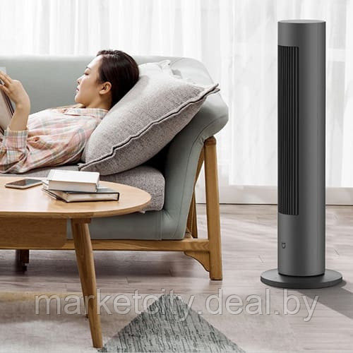 Xiaomi Mijia Fan Dark Grey Напольный вентилятор - обогреватель Fan Dark Grey (BPLNS01DM) - фото 7 - id-p207559187