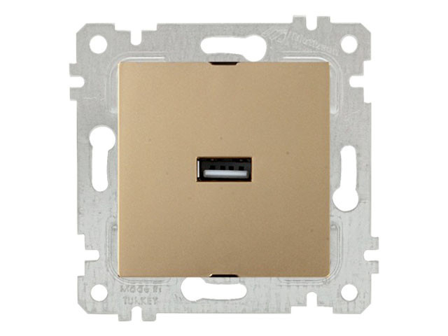 Розетка 1-ая USB (скрытая, без рамки) золото, RITA, MUTLUSAN (USB-зарядка, 5V-2.1A) - фото 1 - id-p207576860