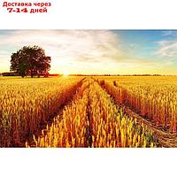 Фотобаннер, 300 × 200 см, с фотопечатью, люверсы шаг 1 м, "Осеннее поле"
