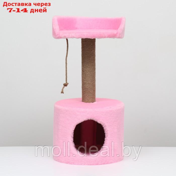 Дом-когтеточка с лежаком круглый, джут, 35 х 35 х 70 см, розовый - фото 2 - id-p207533771