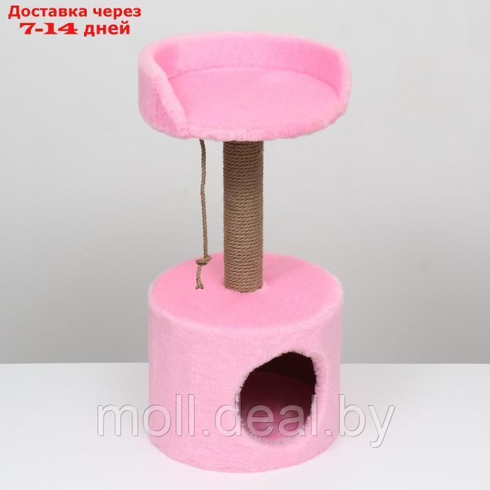 Дом-когтеточка с лежаком круглый, джут, 35 х 35 х 70 см, розовый - фото 3 - id-p207533771