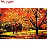 Фотобаннер, 250 × 200 см, с фотопечатью, люверсы шаг 1 м, "Осенняя аллея"