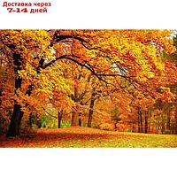 Фотобаннер, 300 × 200 см, с фотопечатью, люверсы шаг 1 м, "Осенний клён"