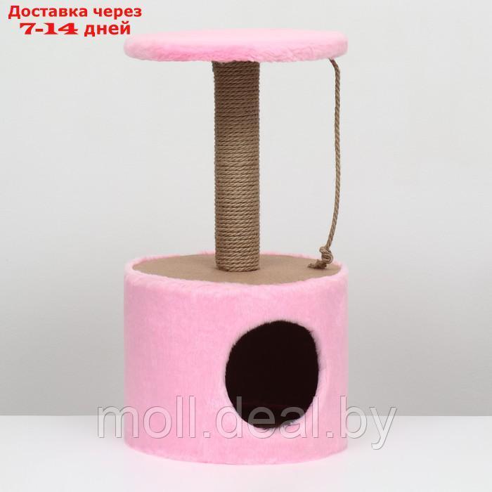 Домик с когтеточкой круглый, джут, 35 х 35 х 64 см, розовый - фото 1 - id-p207534862