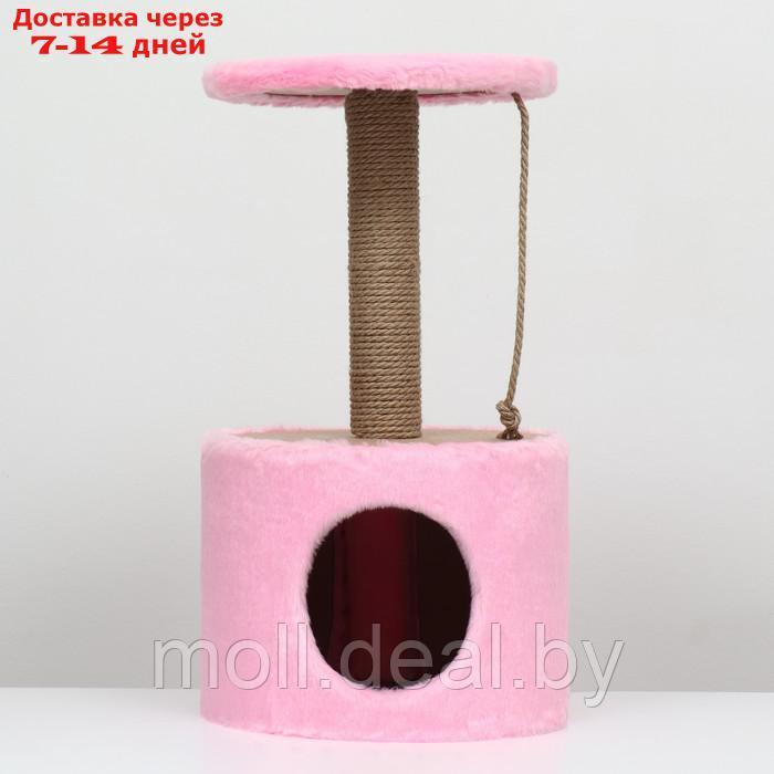 Домик с когтеточкой круглый, джут, 35 х 35 х 64 см, розовый - фото 2 - id-p207534862