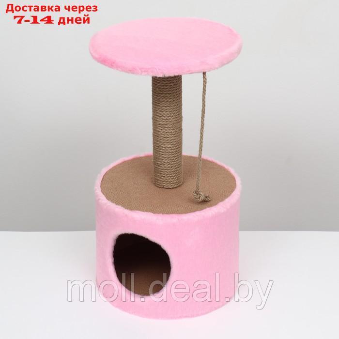 Домик с когтеточкой круглый, джут, 35 х 35 х 64 см, розовый - фото 3 - id-p207534862