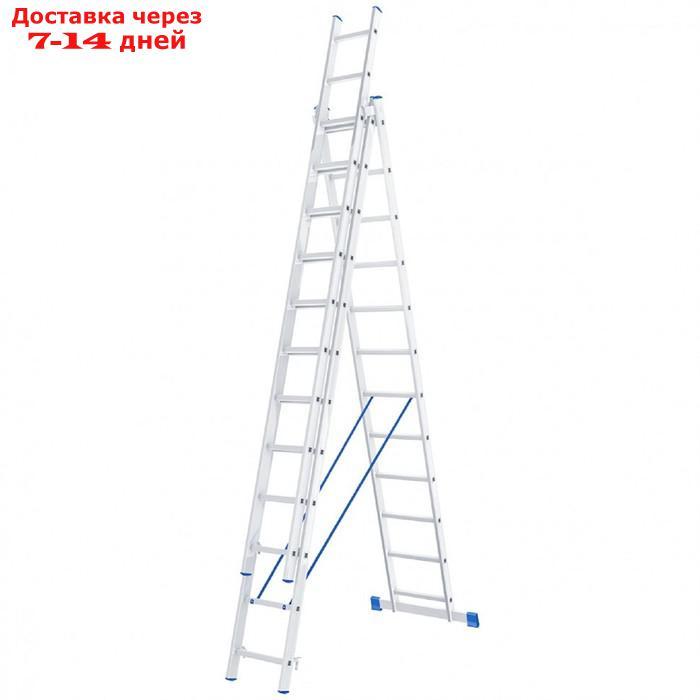 Лестница шарнирная "Сибртех" 97822, алюминиевая, трехсекционная, 3х12 ступеней - фото 1 - id-p207524222