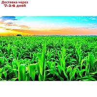 Фотобаннер, 250 × 200 см, с фотопечатью, люверсы шаг 1 м, "Кукуруза"