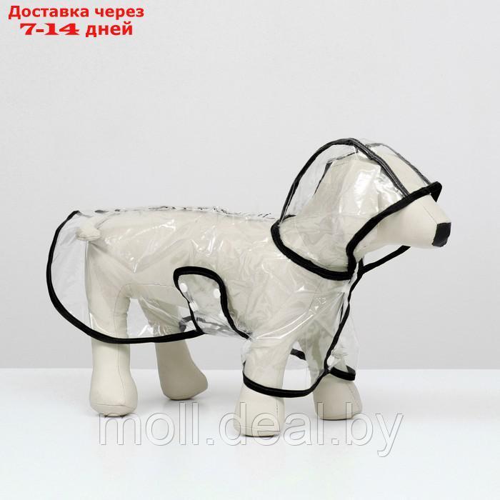 Дождевик для собак, размер S (ДС 22, ОГ 35-38, ОШ 36 см), чёрный - фото 1 - id-p207534881