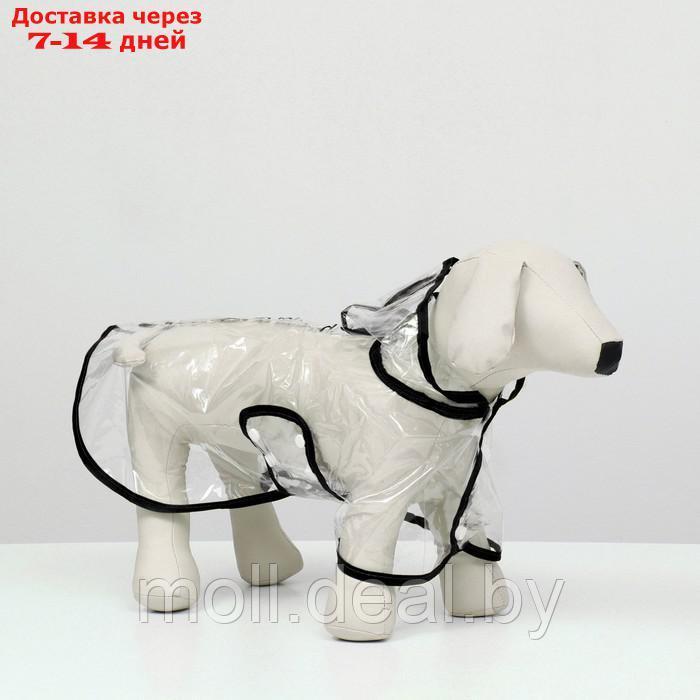 Дождевик для собак, размер S (ДС 22, ОГ 35-38, ОШ 36 см), чёрный - фото 3 - id-p207534881