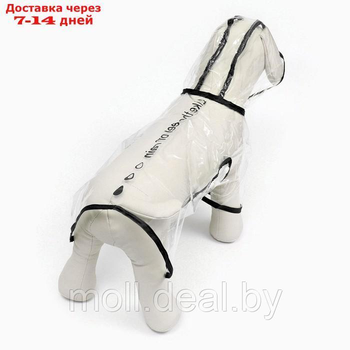 Дождевик для собак, размер S (ДС 22, ОГ 35-38, ОШ 36 см), чёрный - фото 5 - id-p207534881