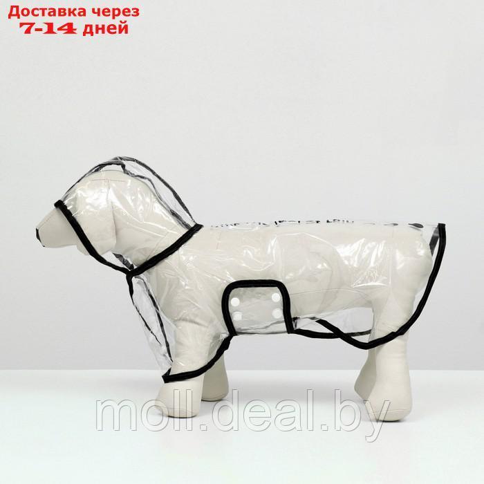 Дождевик для собак, размер S (ДС 22, ОГ 35-38, ОШ 36 см), чёрный - фото 6 - id-p207534881