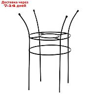 Опора для растений, 60 × 60 × 68 см