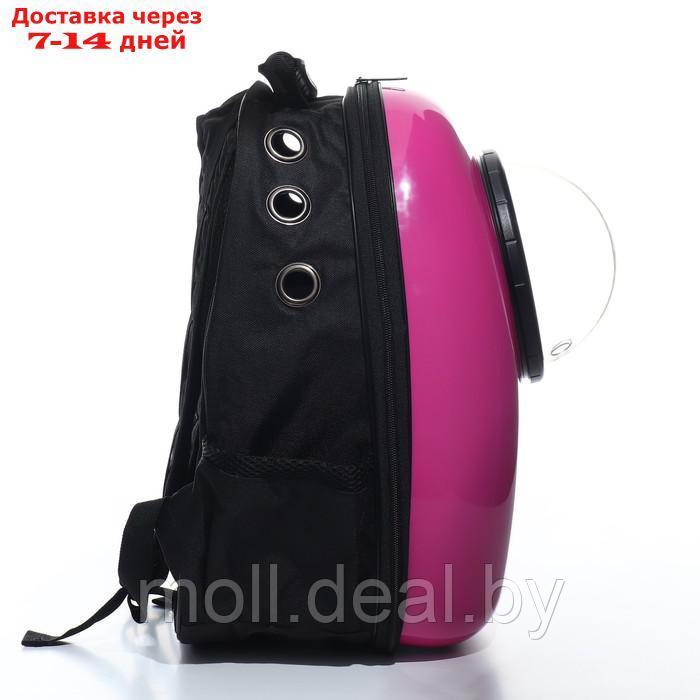 Рюкзак для переноски животных с окном для обзора, 32 х 25 х 42 см, фиолетовый - фото 8 - id-p207108353