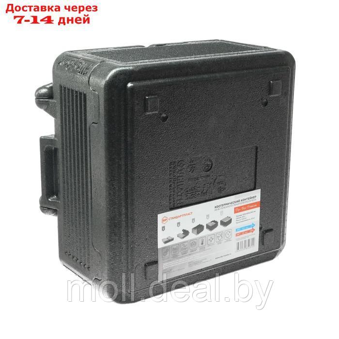 Изотермический контейнер StP Flip-Box Premium, размер 42х42х24 см - фото 4 - id-p207108372