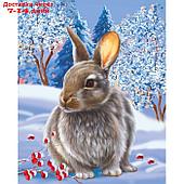 Картина по номерам на холсте с подрамником "Кролик на снегу" 40х50 см