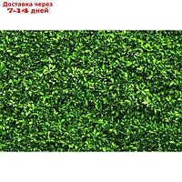 Фотобаннер, 250 × 150 см, с фотопечатью, люверсы шаг 1 м, "Зелёная изгородь"
