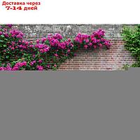 Фотобаннер, 250 × 150 см, с фотопечатью, люверсы шаг 1 м, "Кирпичная стена"