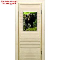 Дверь для бани со стеклом (40*60), "Медведь-1", 170×70см, коробка из осины