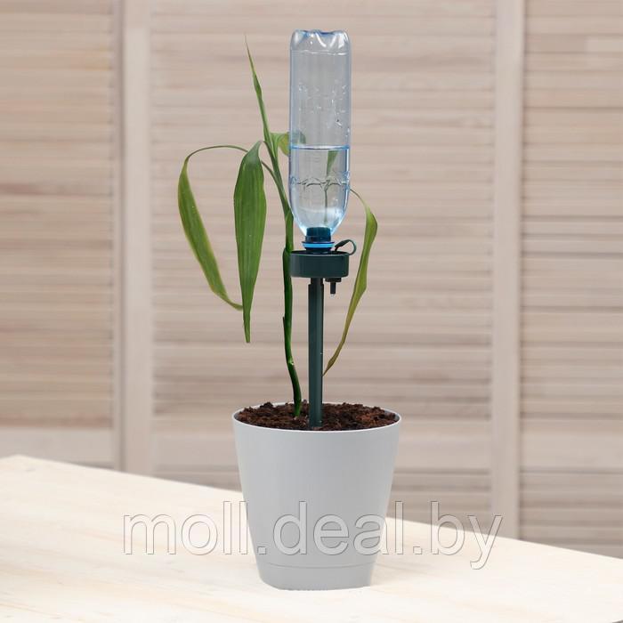 Автополив для комнатных растений, под бутылку, регулируемый - фото 5 - id-p207539268