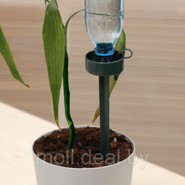Автополив для комнатных растений, под бутылку, регулируемый - фото 6 - id-p207539268
