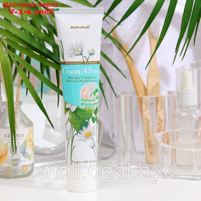 Органическая паста для зубов и десен Kolbadent GumAlive Natural Whitening Toothpaste, 100 гр - фото 2 - id-p207533182