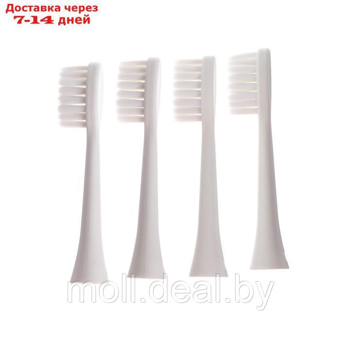 Подарочный набор LuazON, зубная щётка LP-003, расчёска массажная, наполнитель - фото 8 - id-p207533211