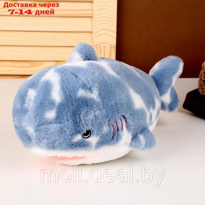 Мягкая игрушка "Акула", 32 см, цвет синий - фото 1 - id-p207535288