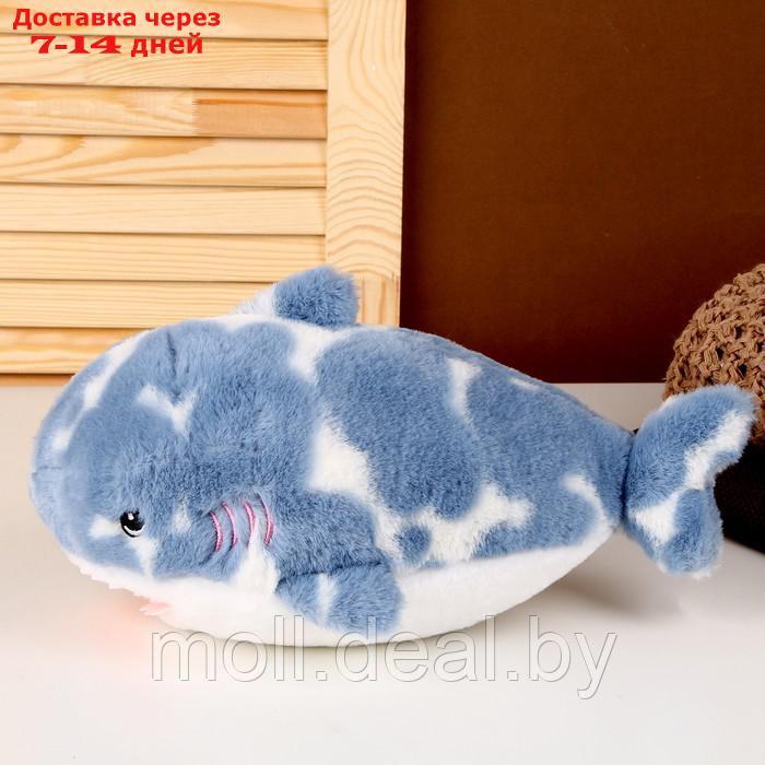 Мягкая игрушка "Акула", 32 см, цвет синий - фото 2 - id-p207535288