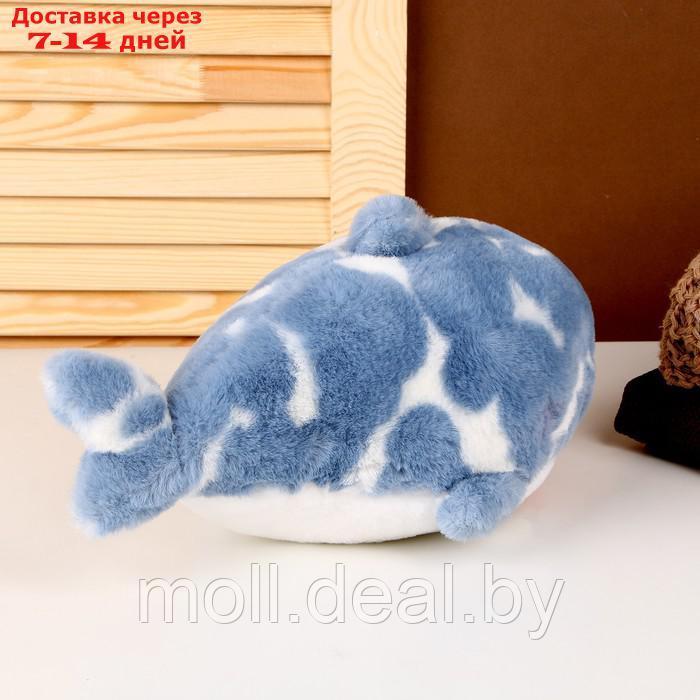 Мягкая игрушка "Акула", 32 см, цвет синий - фото 3 - id-p207535288