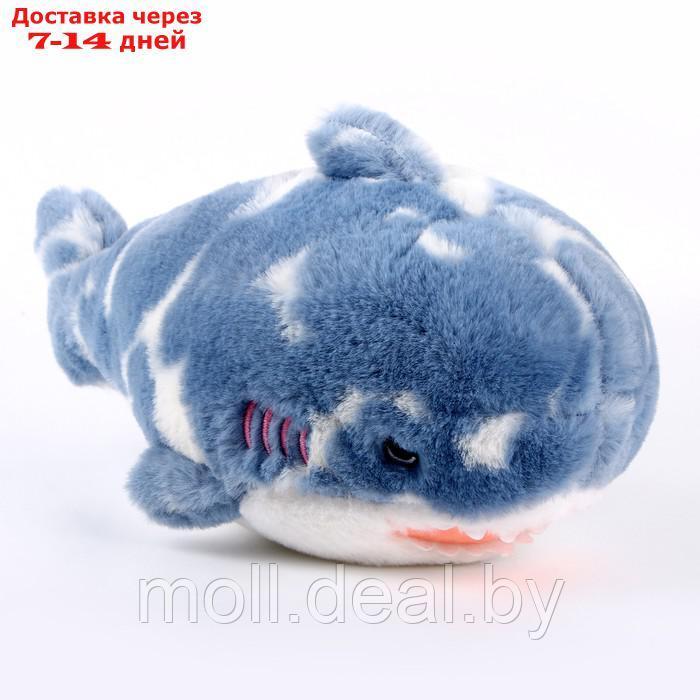 Мягкая игрушка "Акула", 32 см, цвет синий - фото 4 - id-p207535288