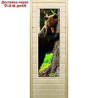 Дверь для бани со стеклом (43*129), "Медведь-4", 190×70см, коробка из осины