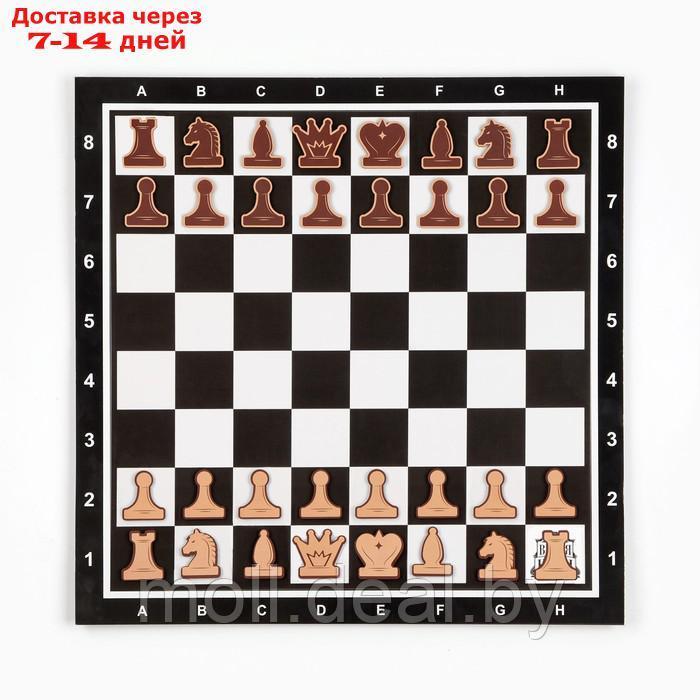 Демонстрационные шахматы "Время игры" на магнитной доске, 32 шт, поле 40 х 40 см, чёрные - фото 2 - id-p207538425