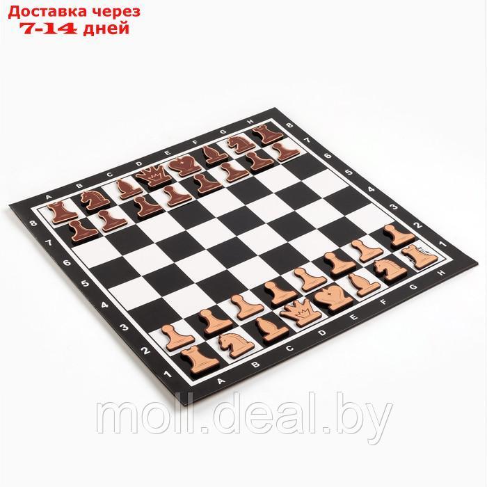 Демонстрационные шахматы "Время игры" на магнитной доске, 32 шт, поле 40 х 40 см, чёрные - фото 3 - id-p207538425