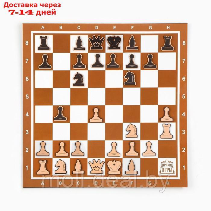 Демонстрационные шахматы "Время игры" на магнитной доске, 32 шт, поле 40 х 40 см, коричневые - фото 1 - id-p207538430